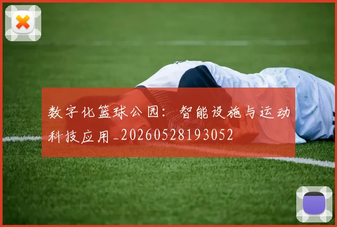 数字化篮球公园：智能设施与运动科技应用_20260528193052