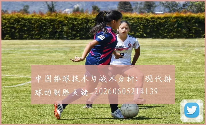 中国排球技术与战术分析：现代排球的制胜关键_20260605214139