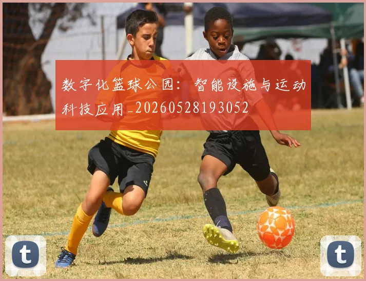 数字化篮球公园：智能设施与运动科技应用_20260528193052